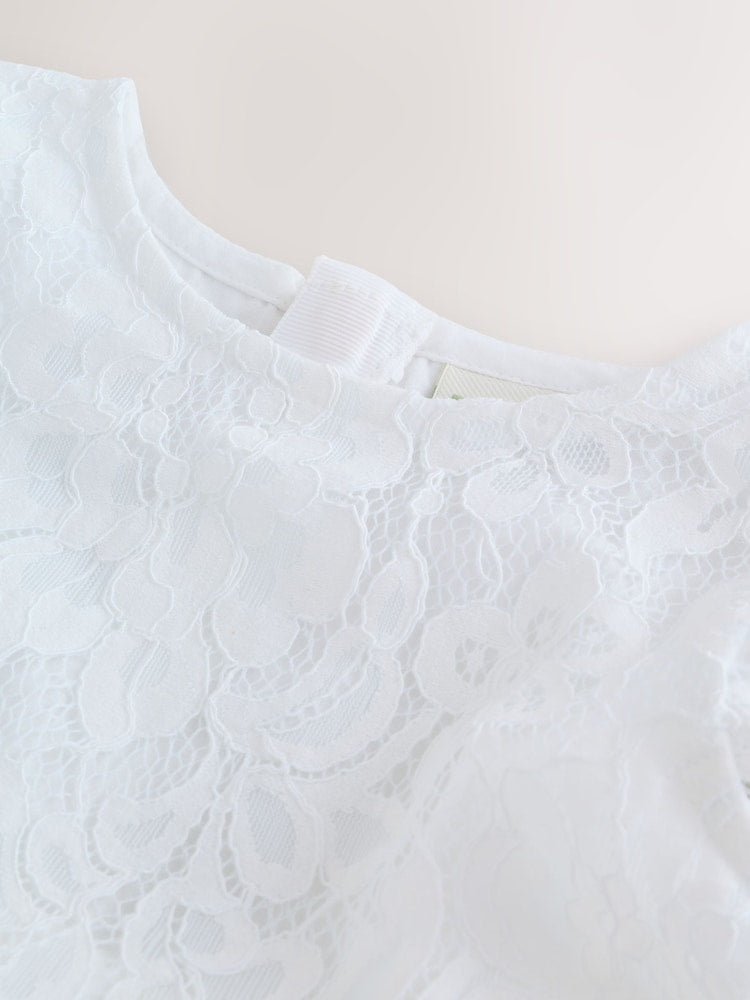 Baker by Ted Baker Lace Mesh Dress