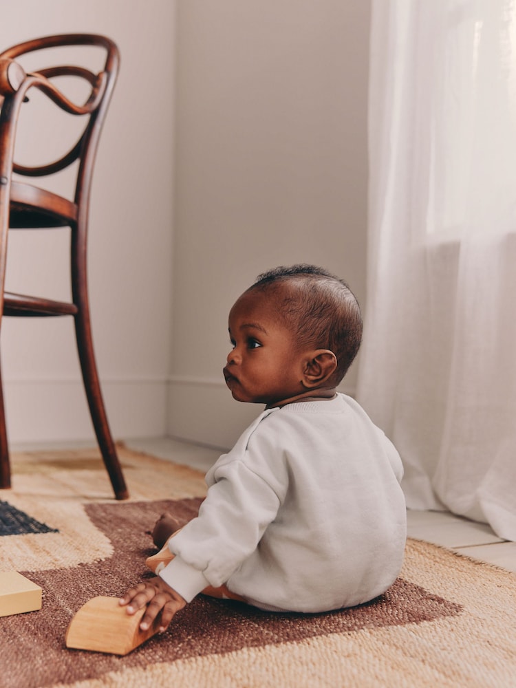 Grey/Rust Sun Sweat Top and Joggers Baby Set (0mths-2yrs)