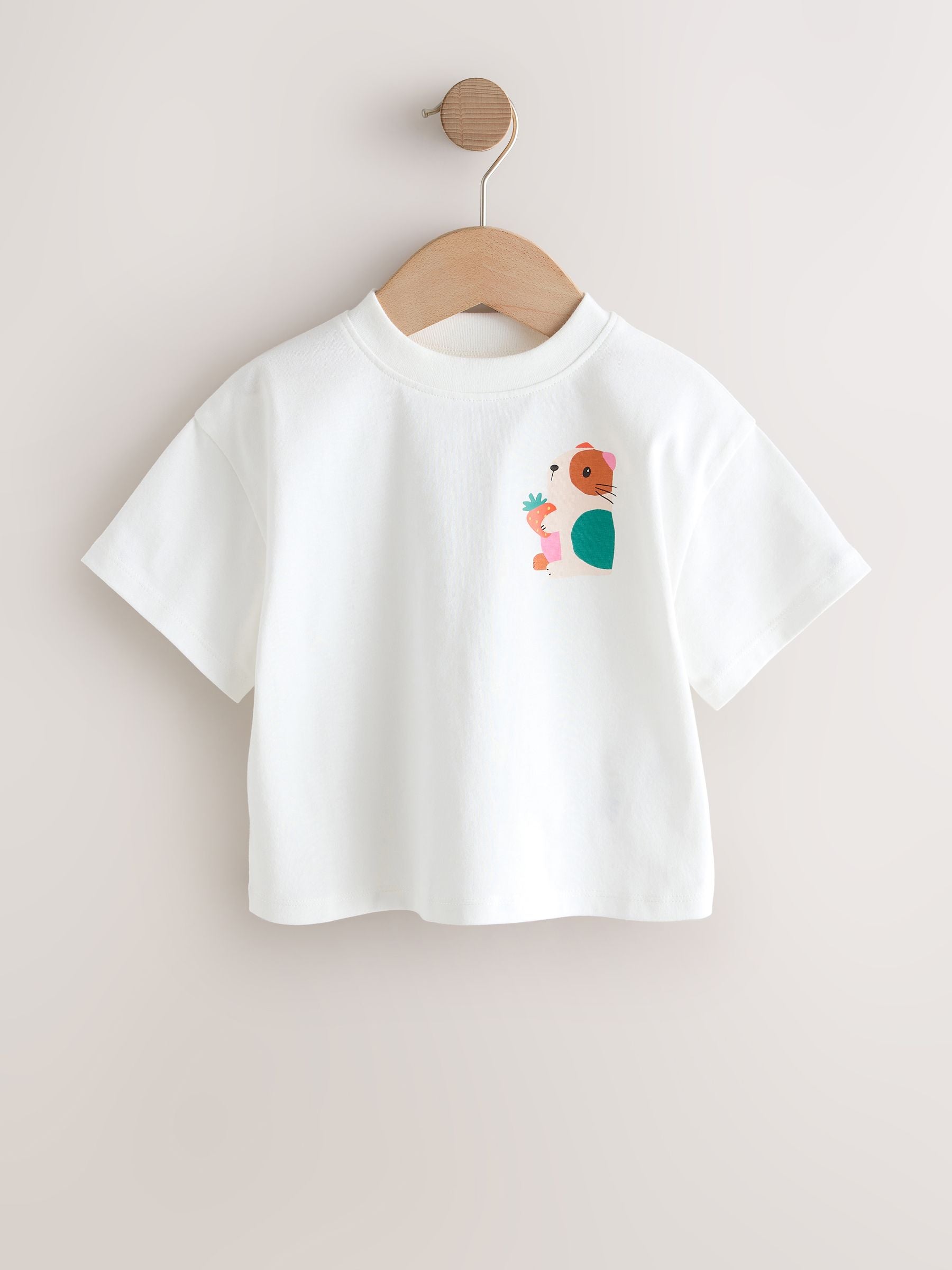 Blue/Green T-Shirts 4 Pack (3mths-7yrs) - Size 3-6 Months (62-68cm)