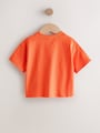 Blue/Green T-Shirts 4 Pack (3mths-7yrs) - Size 3-6 Months (62-68cm)