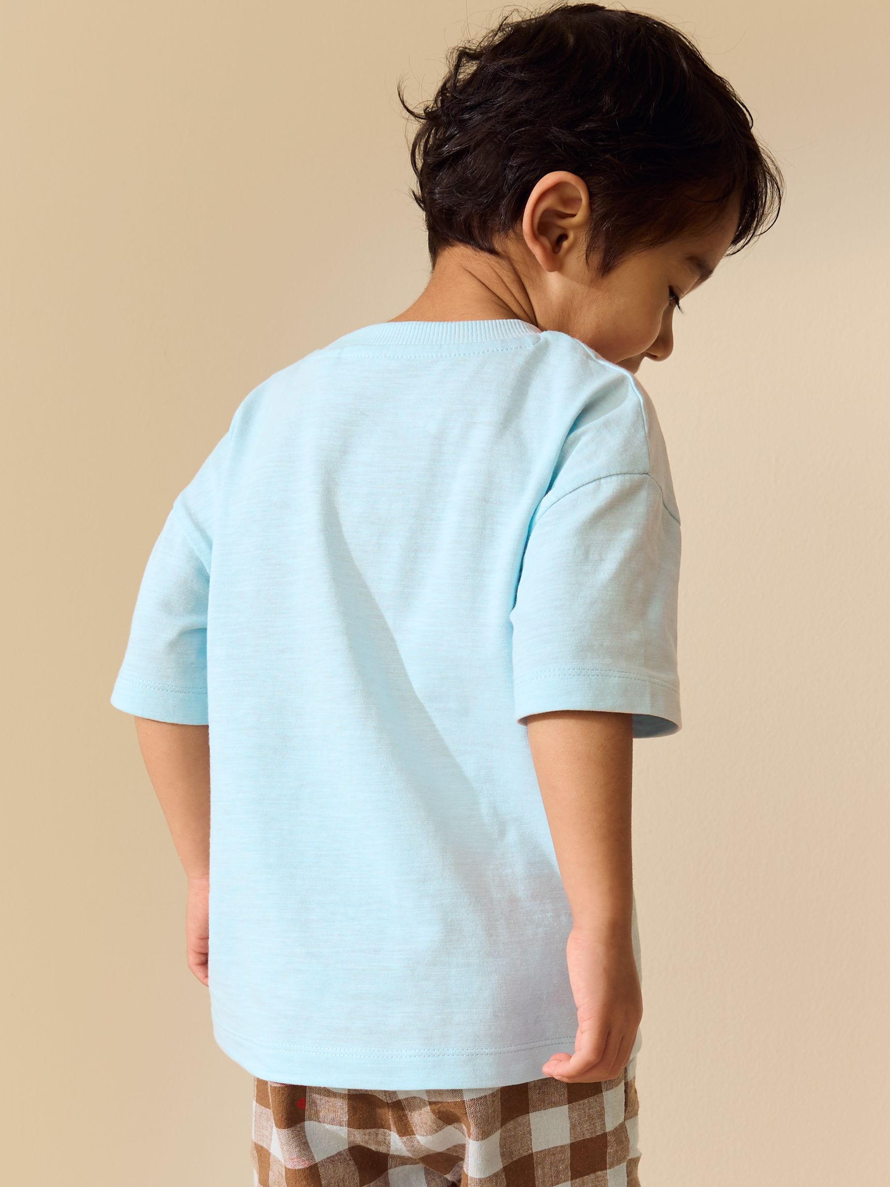 Blue Farm Trio Embroidery Short Sleeve Appliqué T-Shirt (3mths-7yrs) - Size 3-6 Months (62-68cm)
