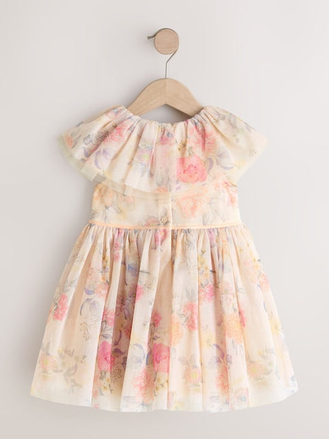 Cream Ruffle Collar Mesh Dress (3mths-7yrs)