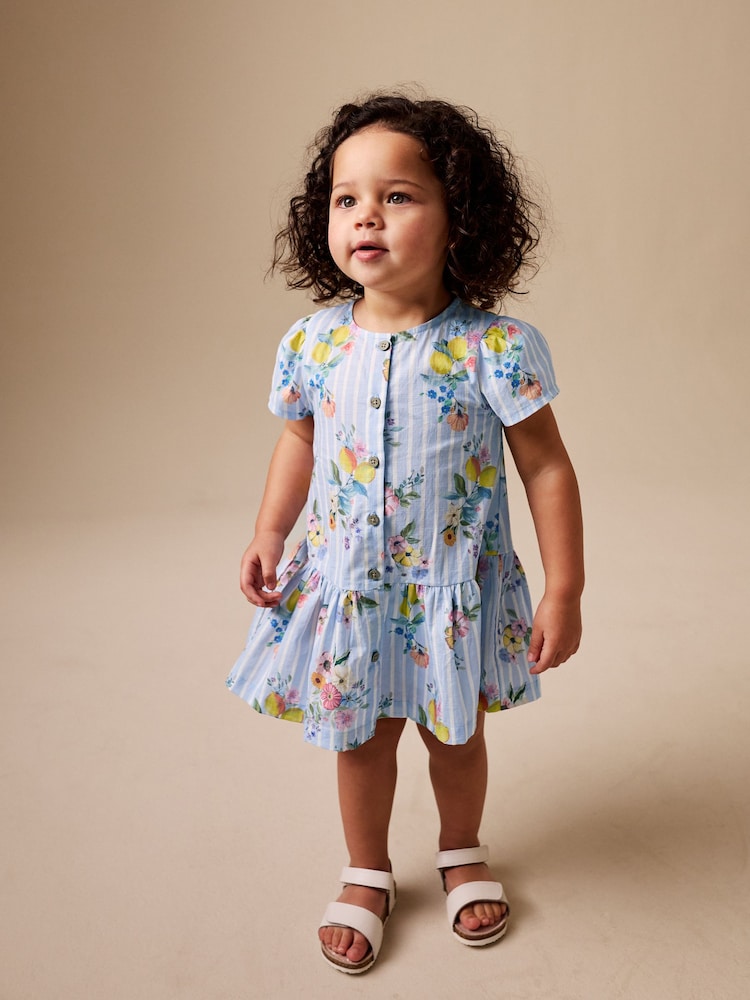 Blue/White Stripe Floral Short Sleeve Cotton Dress (3mths-8yrs)