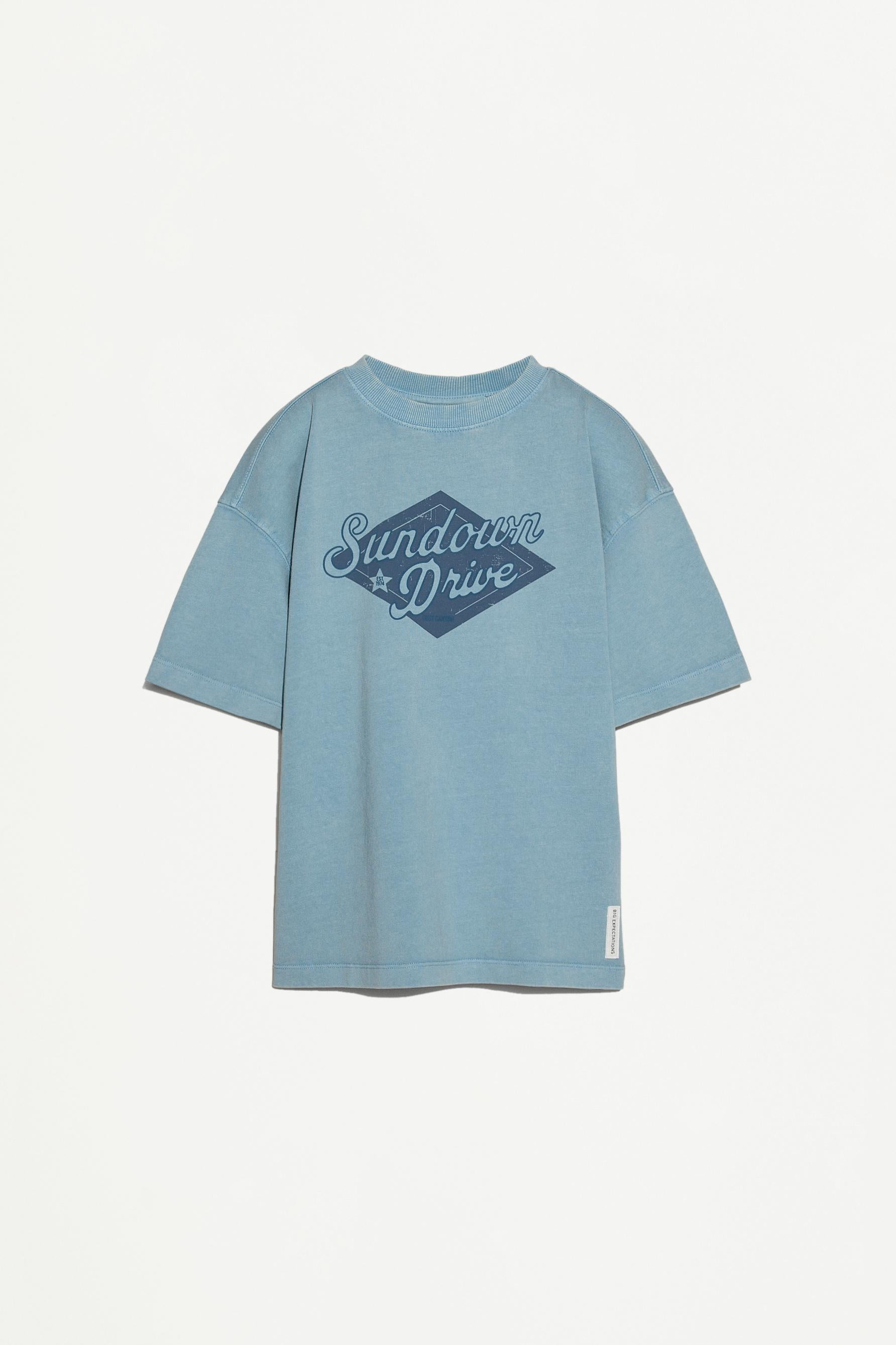Faded effect printed T-shirt - MEDIUM BLUE / 11-12 years