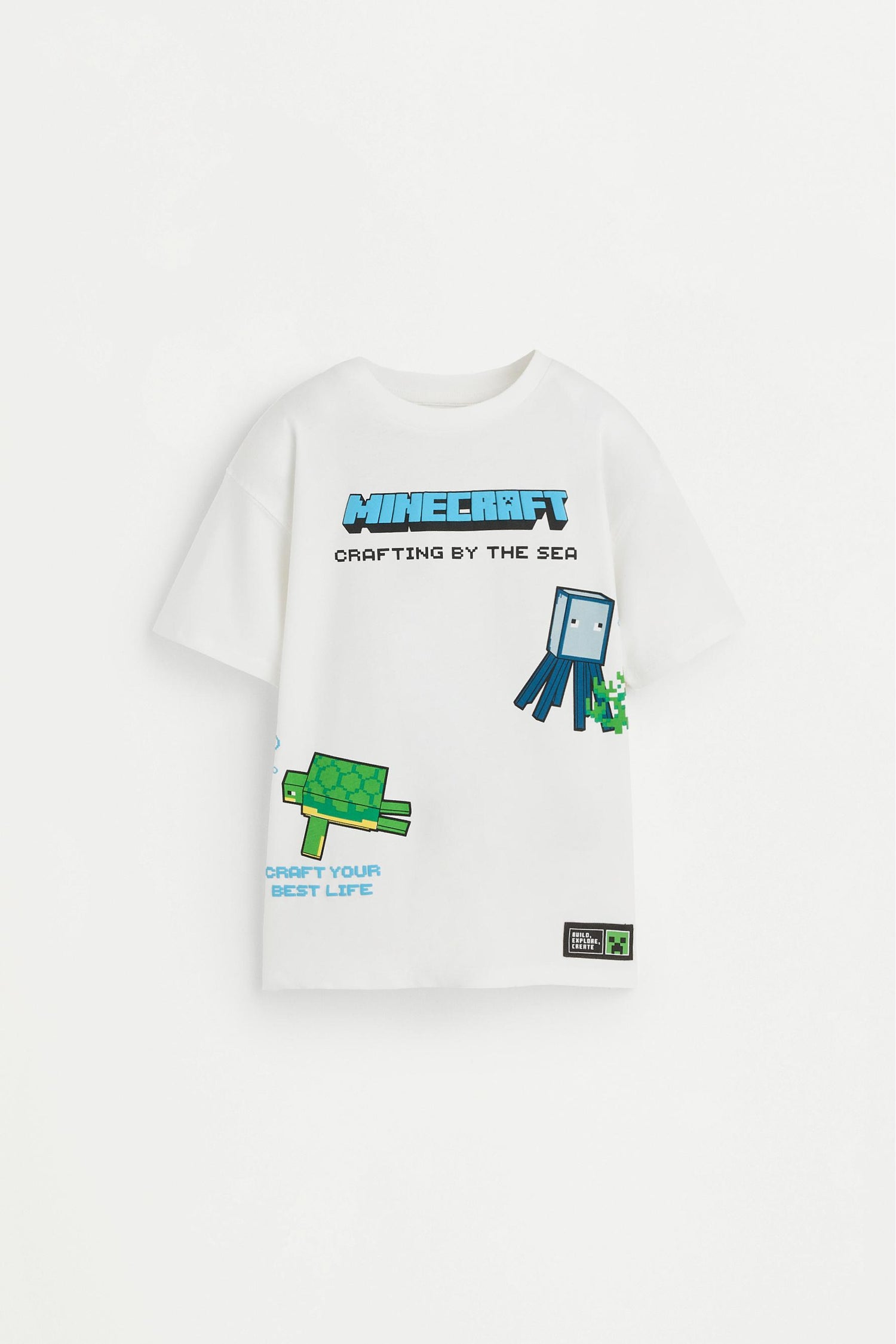 Minecraft T-shirt with back maxi print