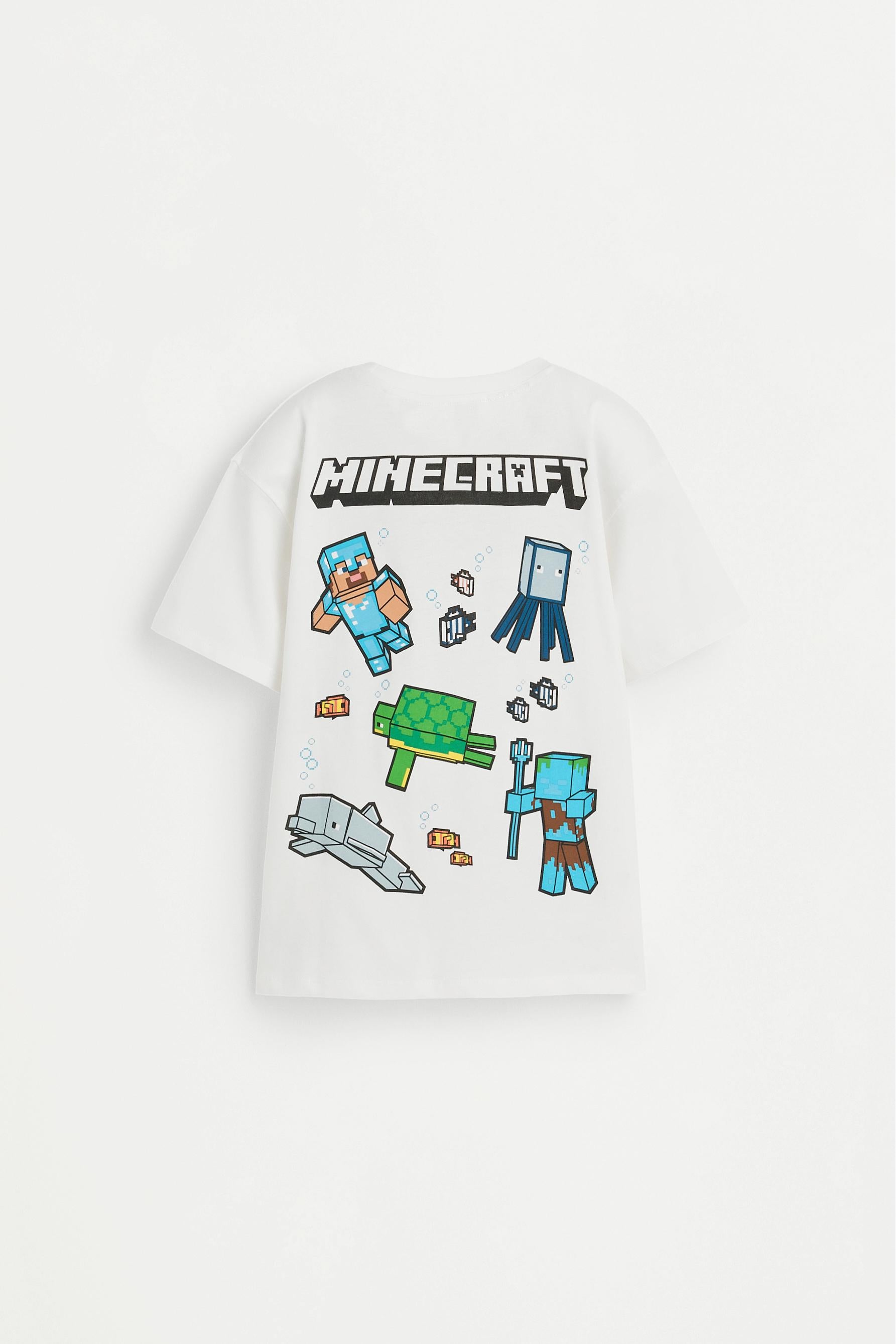 Minecraft T-shirt with back maxi print