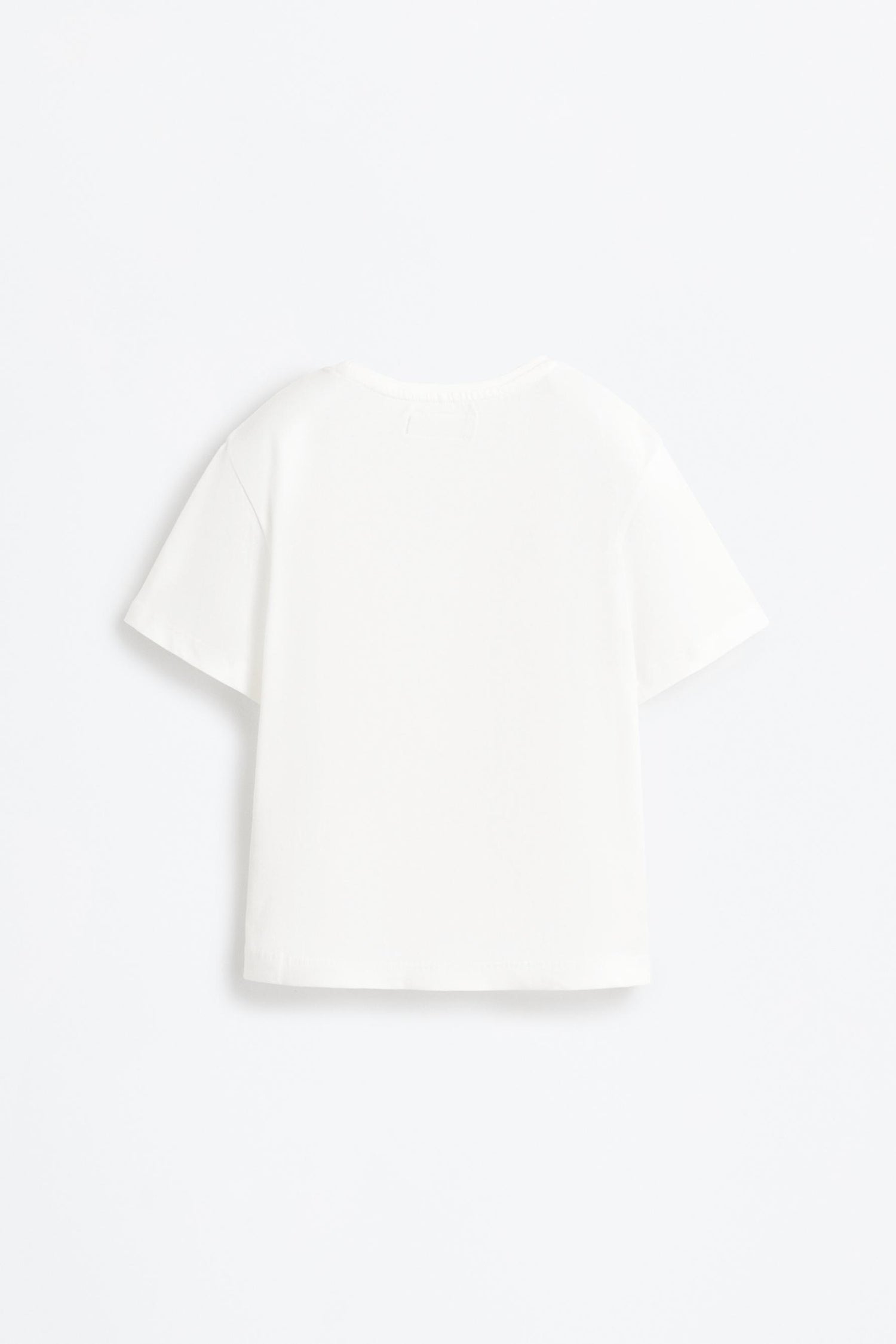 Pack of 2 plain T-shirts