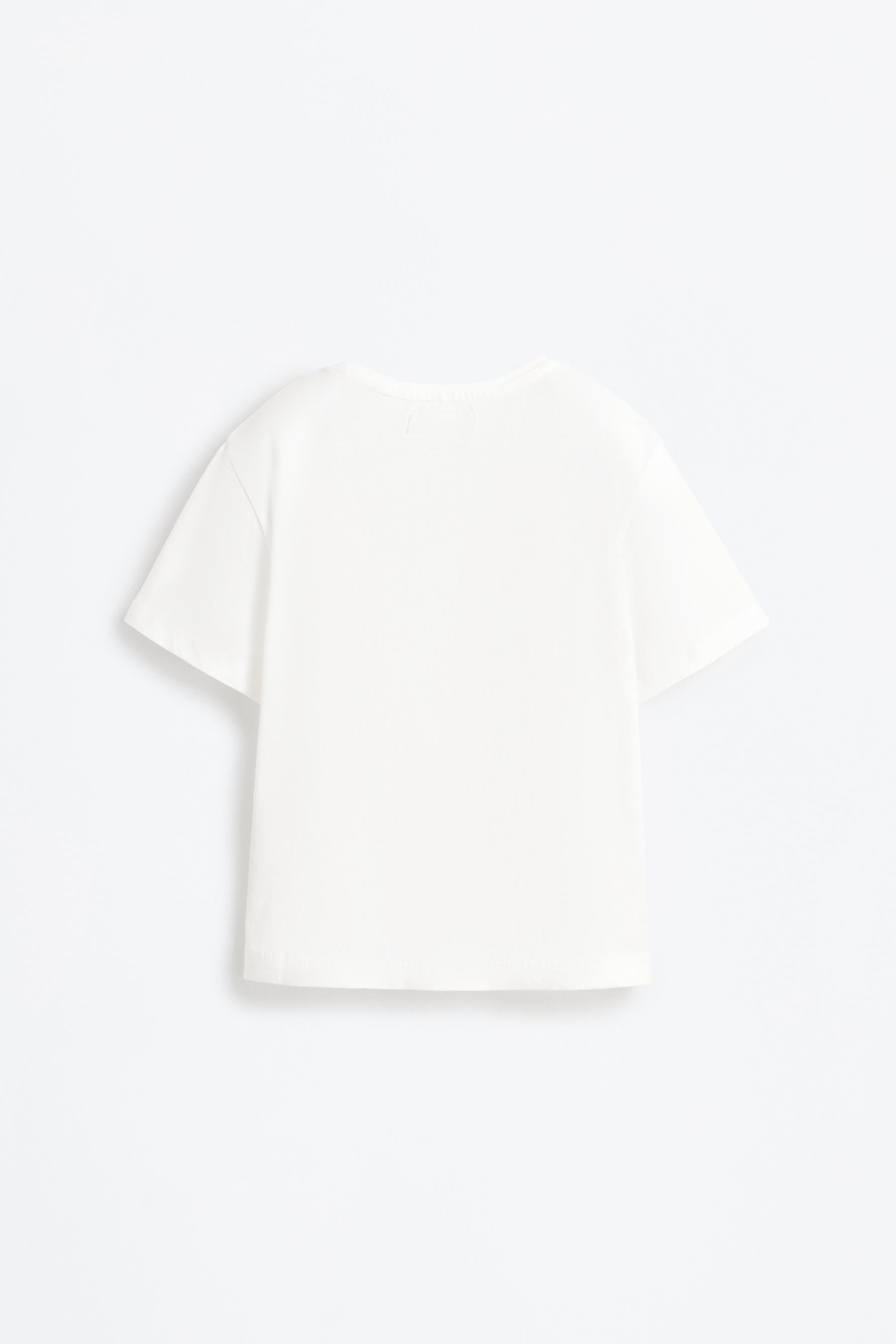 Pack of 2 plain T-shirts