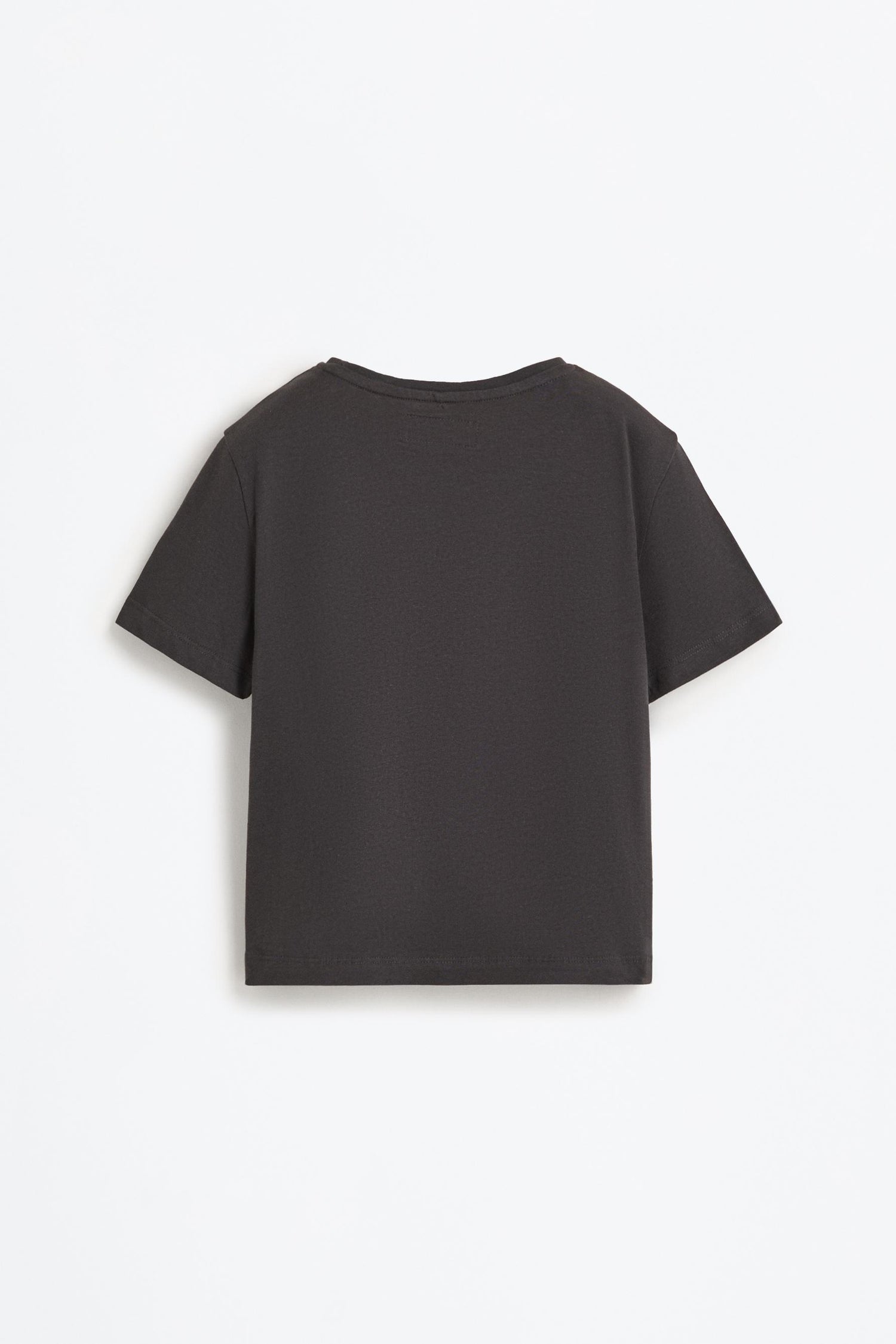 Pack of 2 plain T-shirts