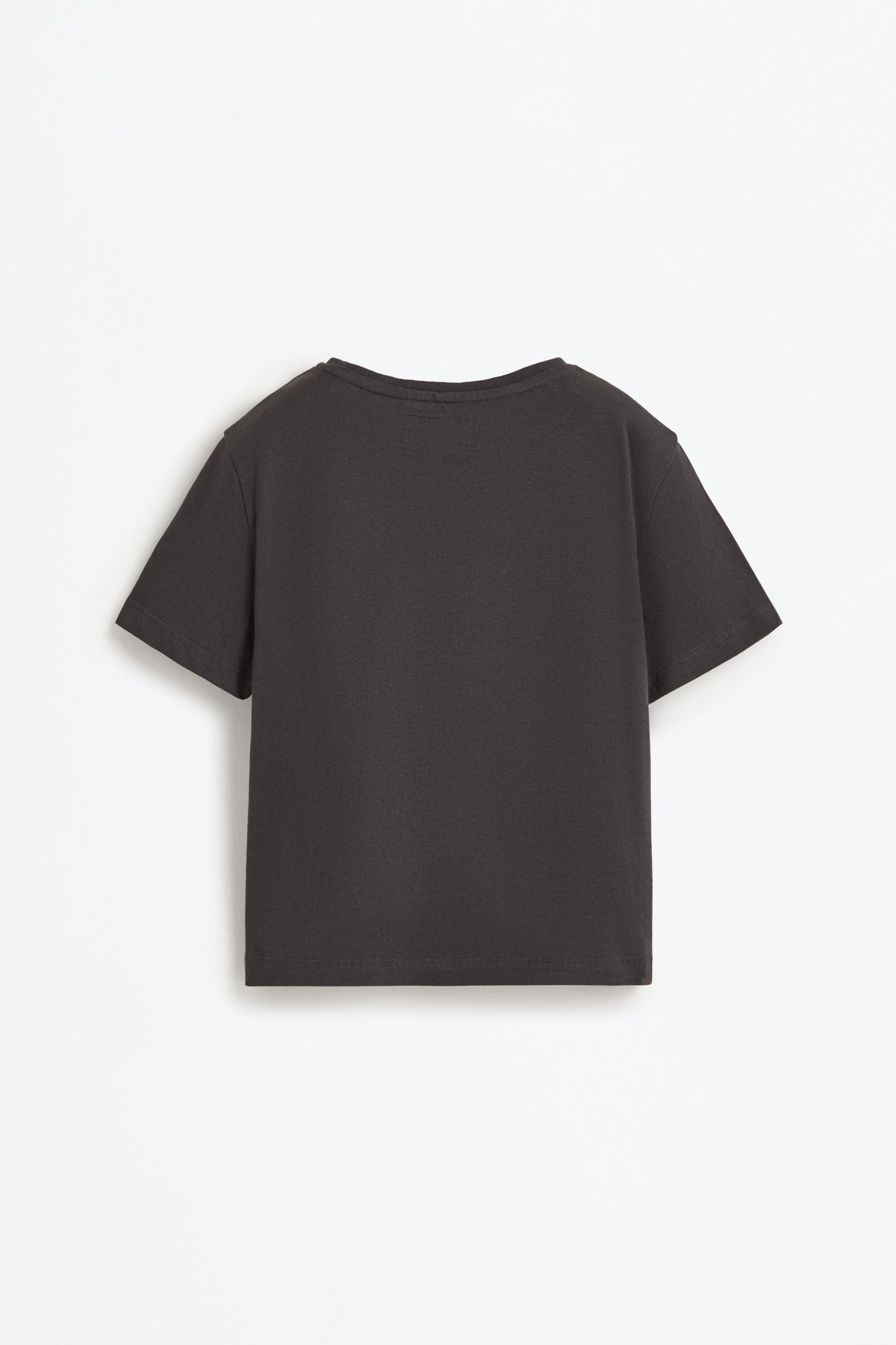 Pack of 2 plain T-shirts