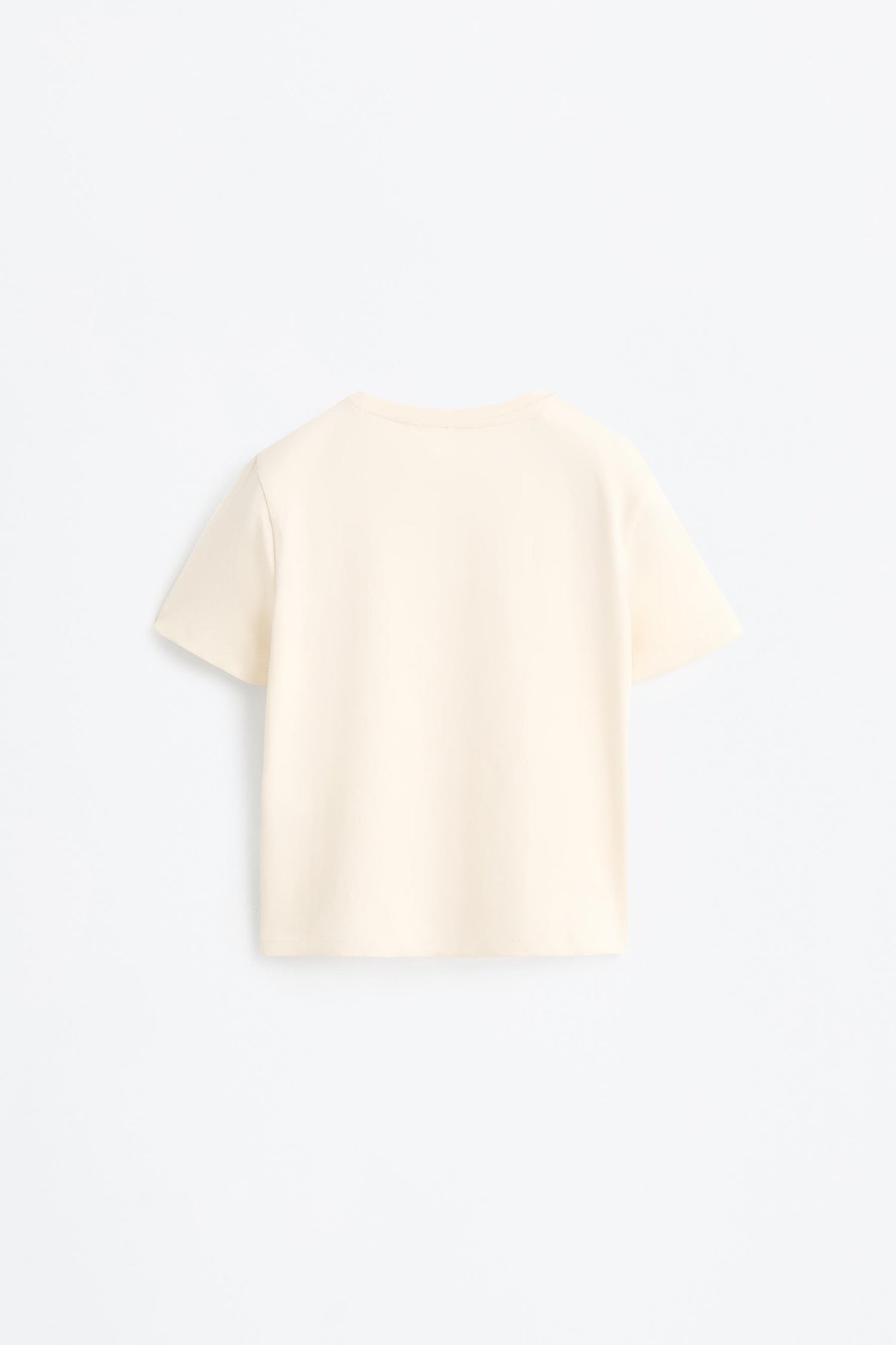 Pack of 2 plain T-shirts