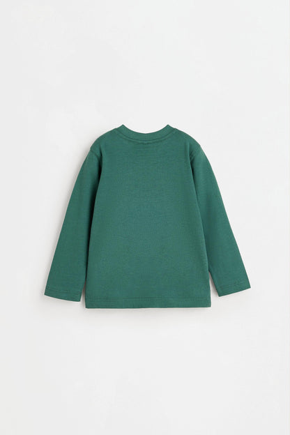 Pack of 4 plain long sleeve T-shirts