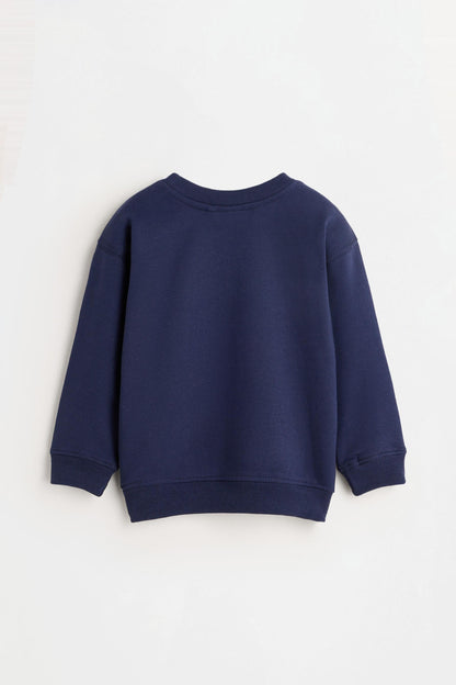 Pack of 2 assorted sweatshirts