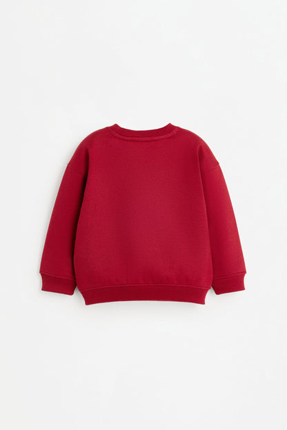 Pack of 2 assorted sweatshirts