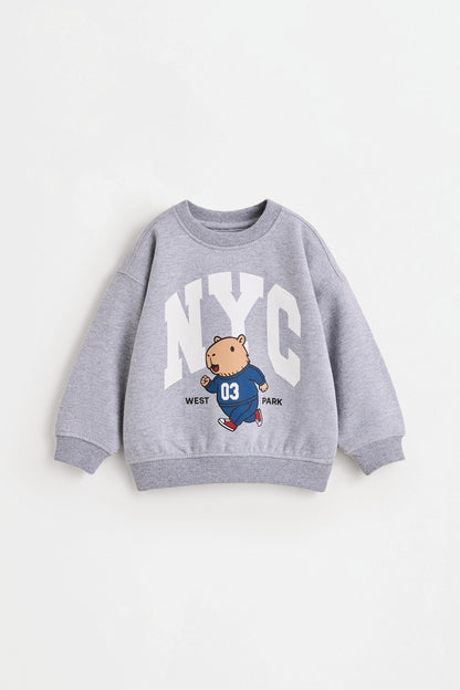 Pack of 2 assorted sweatshirts