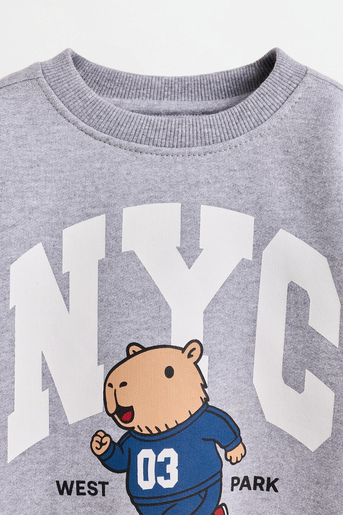 Pack of 2 assorted sweatshirts