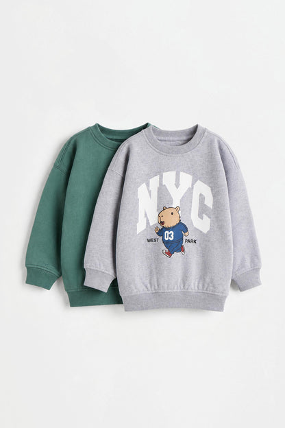Pack of 2 assorted sweatshirts
