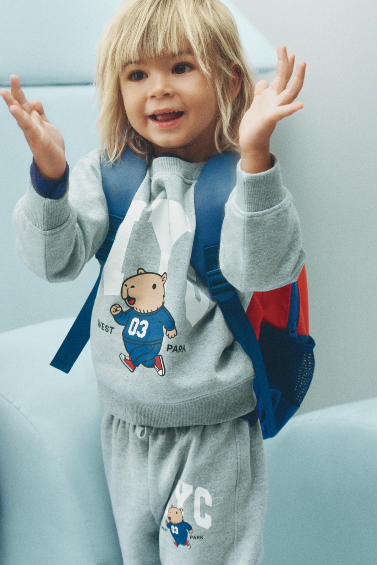 Pack of 2 assorted sweatshirts