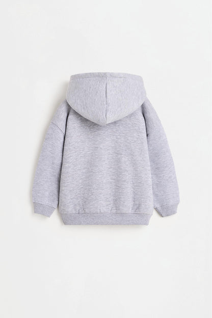 Zip-up sweatshirt - GREY MARL / 12-18 months