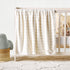 Juniors Plush Baby Blanket - 100x127 cms - HomeBabyNurseryBlankets & SwaddlesBlankets & Quilts