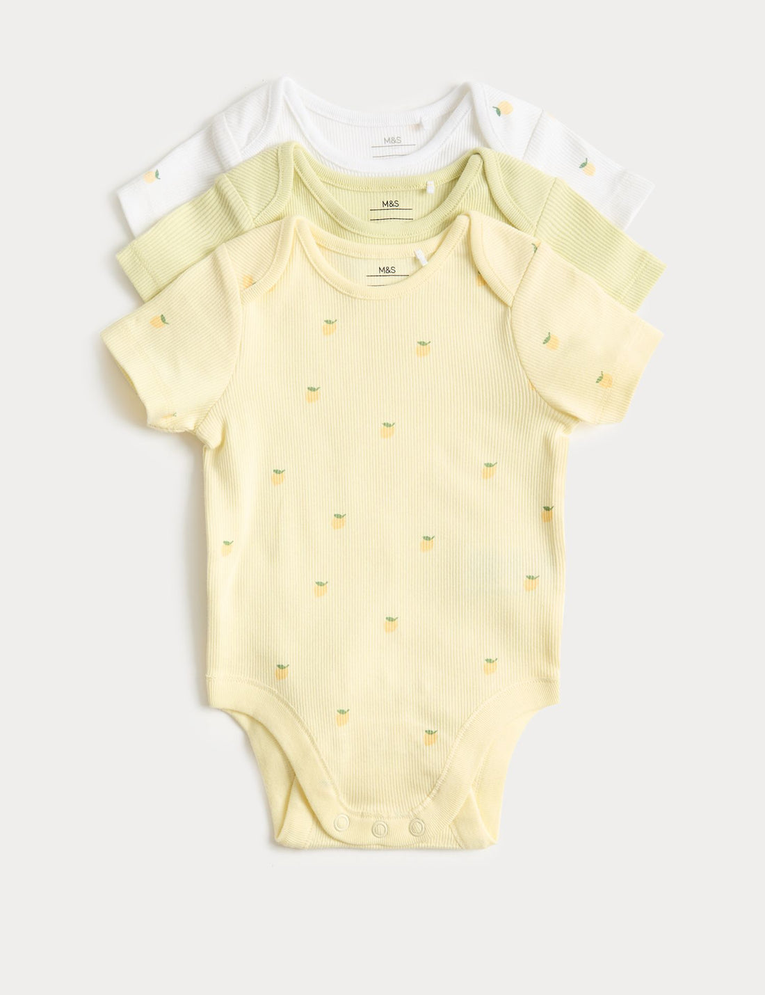3 Pack Cotton Rich Bodysuits (6&
