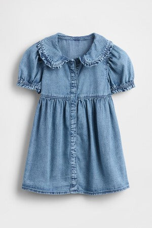 Baby &amp; Toddler Denim Ruffle Dress