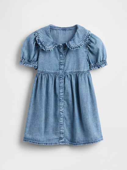Baby &amp; Toddler Denim Ruffle Dress