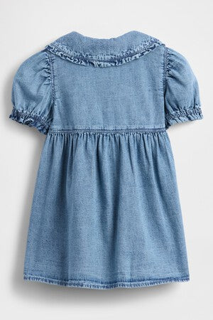 Baby &amp; Toddler Denim Ruffle Dress