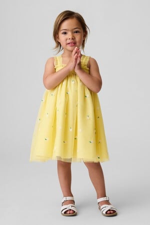Baby &amp; Toddler Embroidered Daisy Tulle Dress