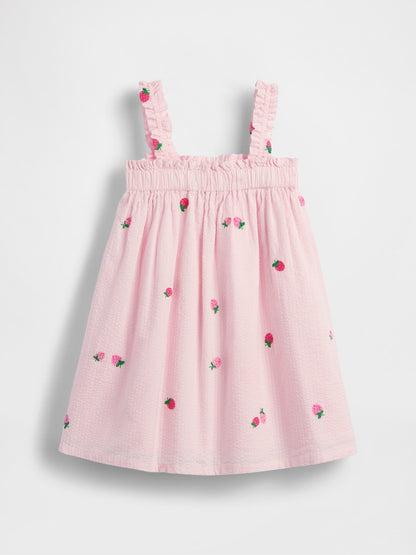 Baby &amp; Toddler Seersucker Embroidered Dress