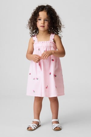 Baby &amp; Toddler Seersucker Embroidered Dress