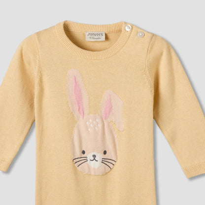 Juniors Cotton Round Neck Long Sleeves Sleepsuit with Bunny Applique