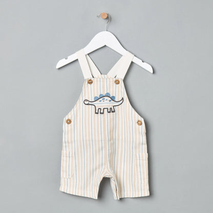Dinosaur Applique Dungaree and T-shirt Set