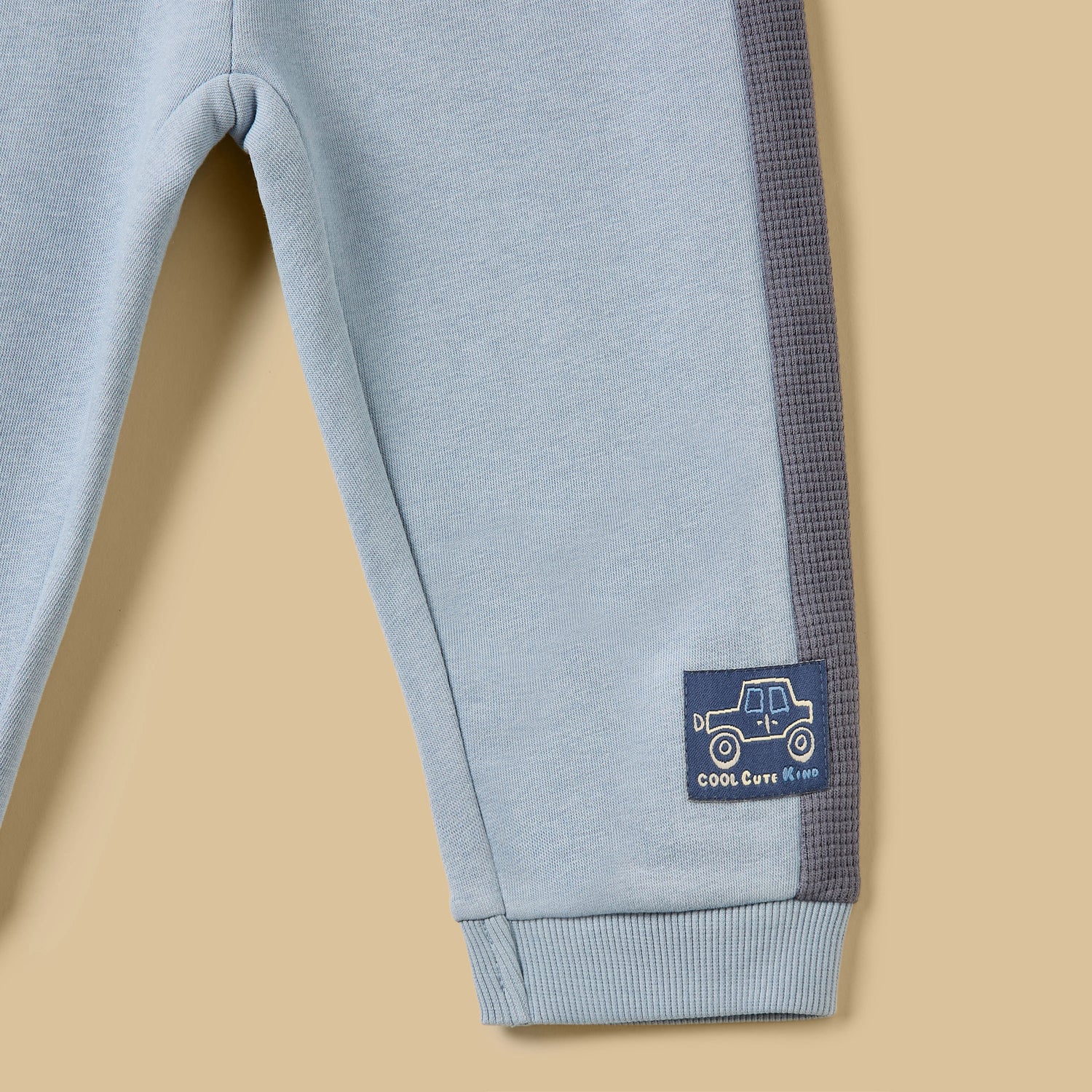 Printed Cut Sew Hoodie and Joggers Set