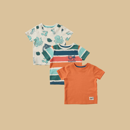 Pack of 3 - Assorted Cotton T-shirt - Multicolour / 12-18 mths