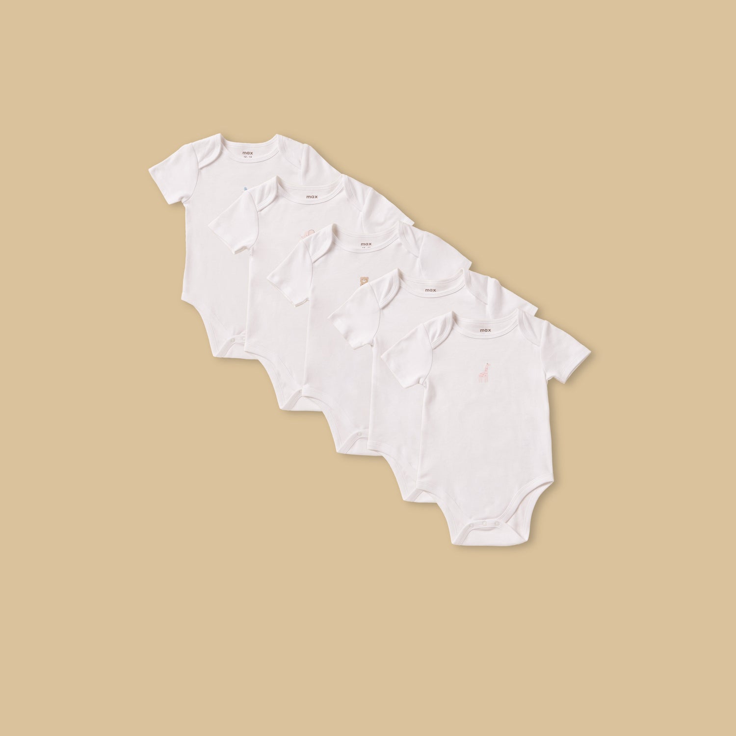 Pack of 5 - Assorted Bodysuit