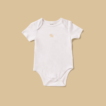 Pack of 5 - Assorted Bodysuit