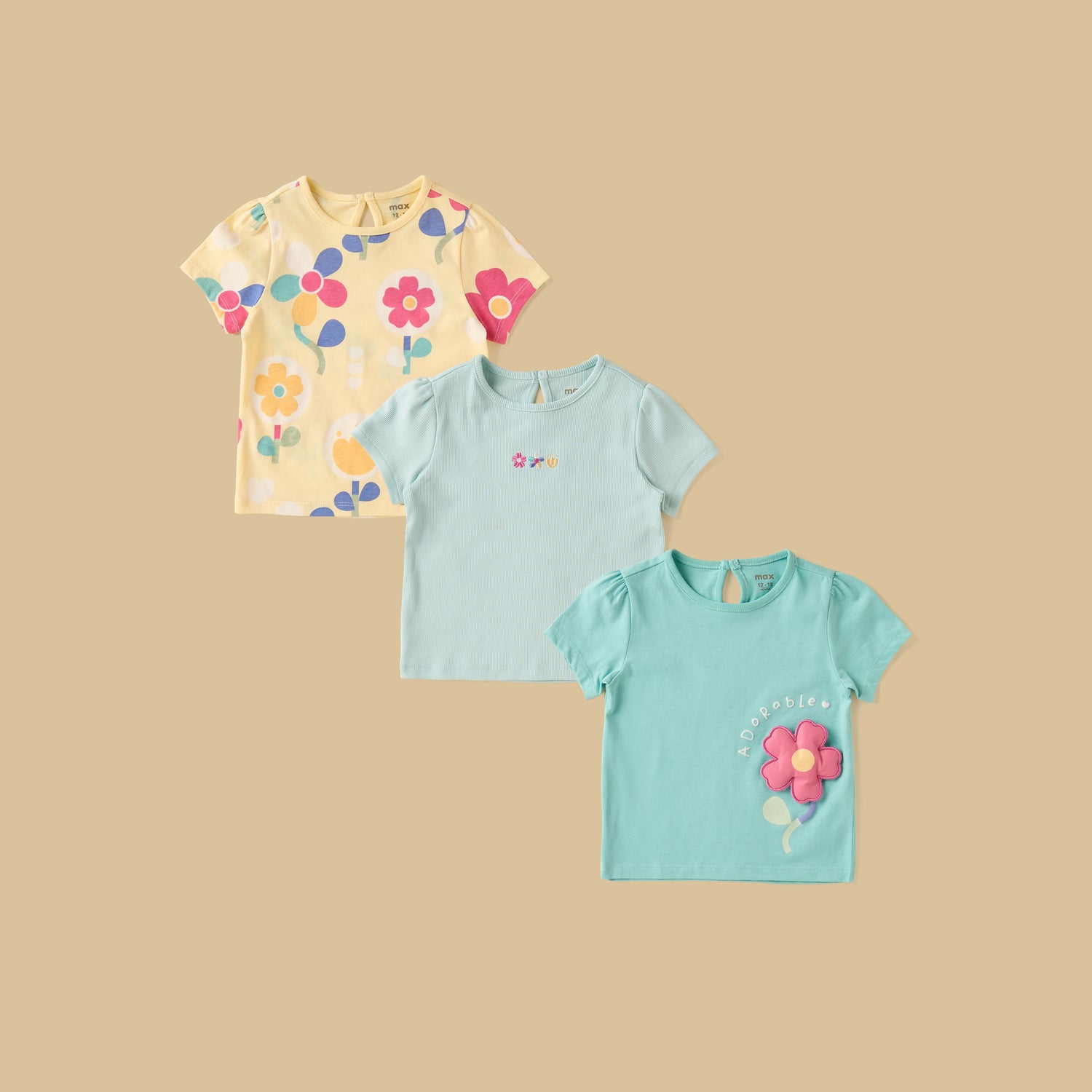 Pack of 3 - Floral Print Cotton T-shirt - Multicolour / 9-12 mths
