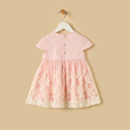 Embroidered Mesh Overlay Dress