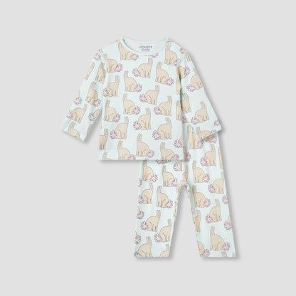 Juniors Bunny Print T-shirt and Pyjama Set