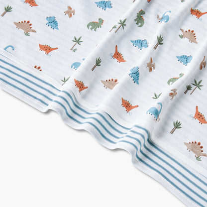 Juniors 2-Piece Baby Receiving Blanket Set - Cotton