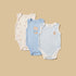 Pack of 3 - Bear Print Cotton Bodysuit - Multicolour / 12-18 mths