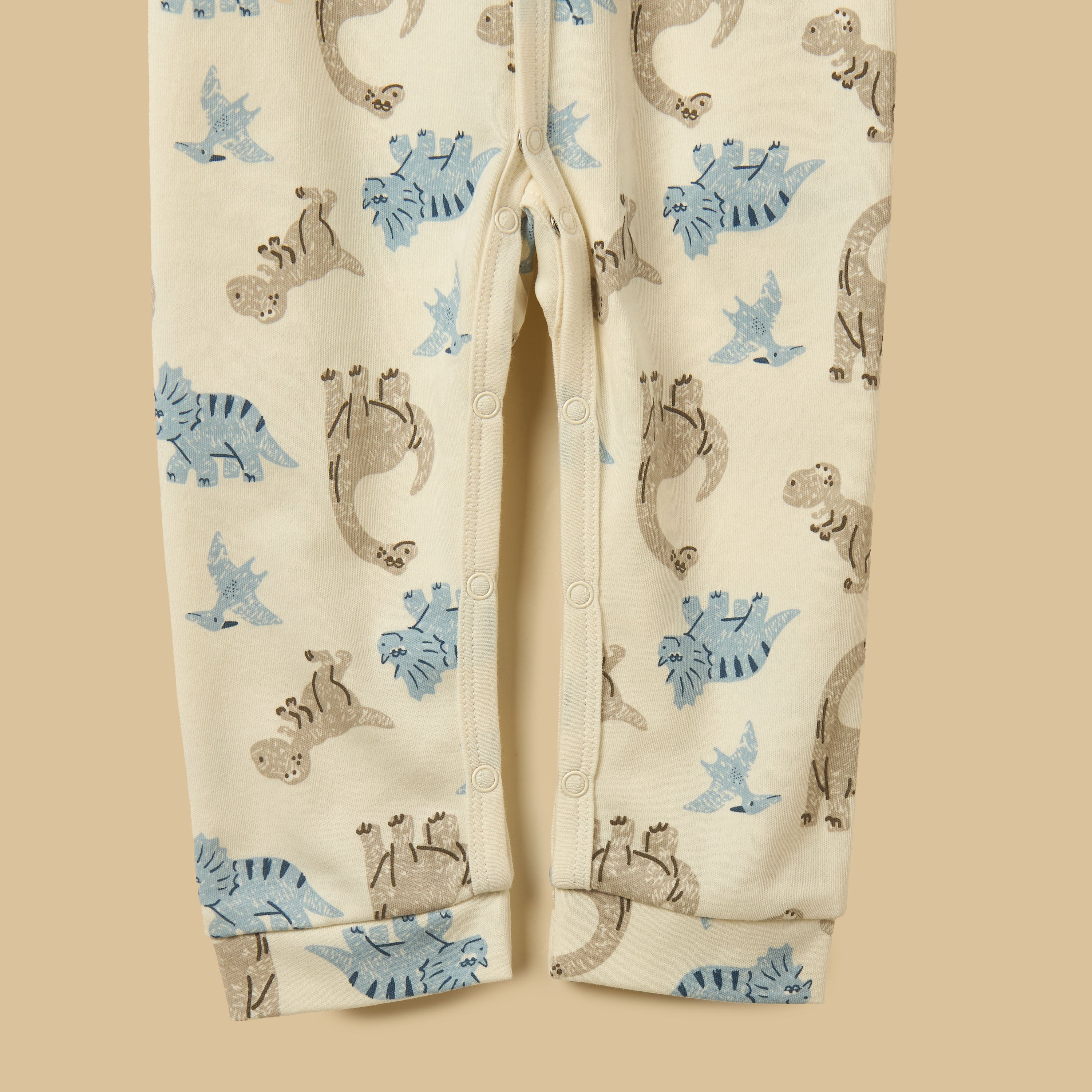Dinosaur Print Cotton Sleepsuit