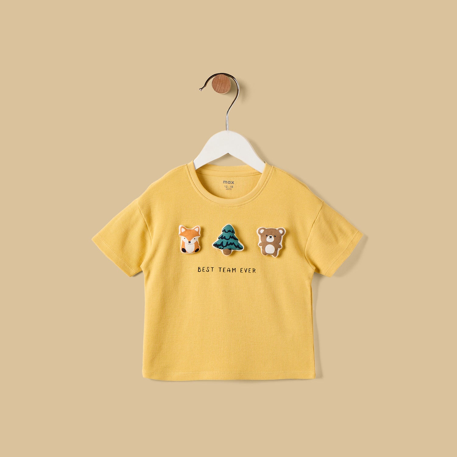 Textured 3D Applique Cotton T-shirt and Shorts Set