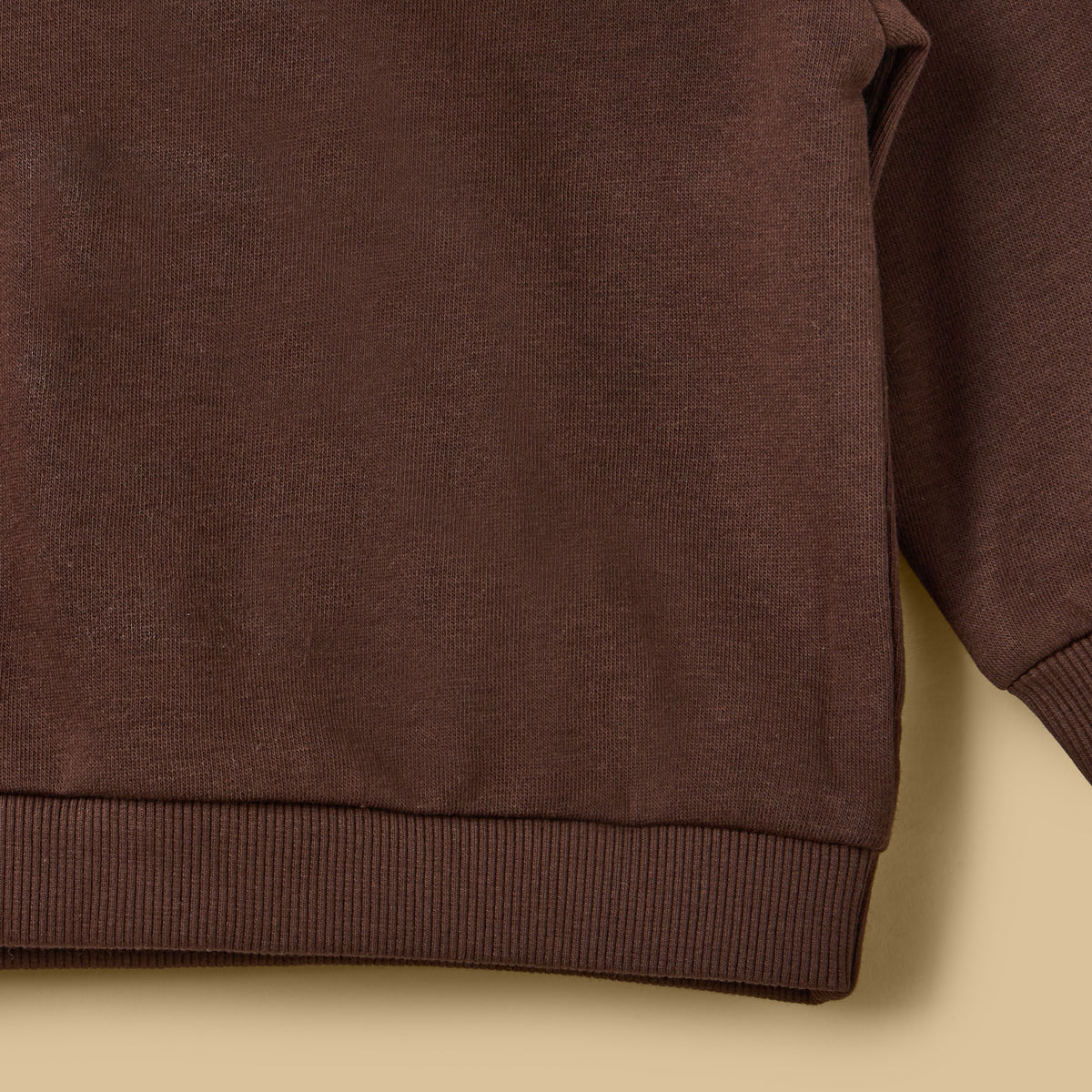 Bear Print Sweatshirt and Joggers Set