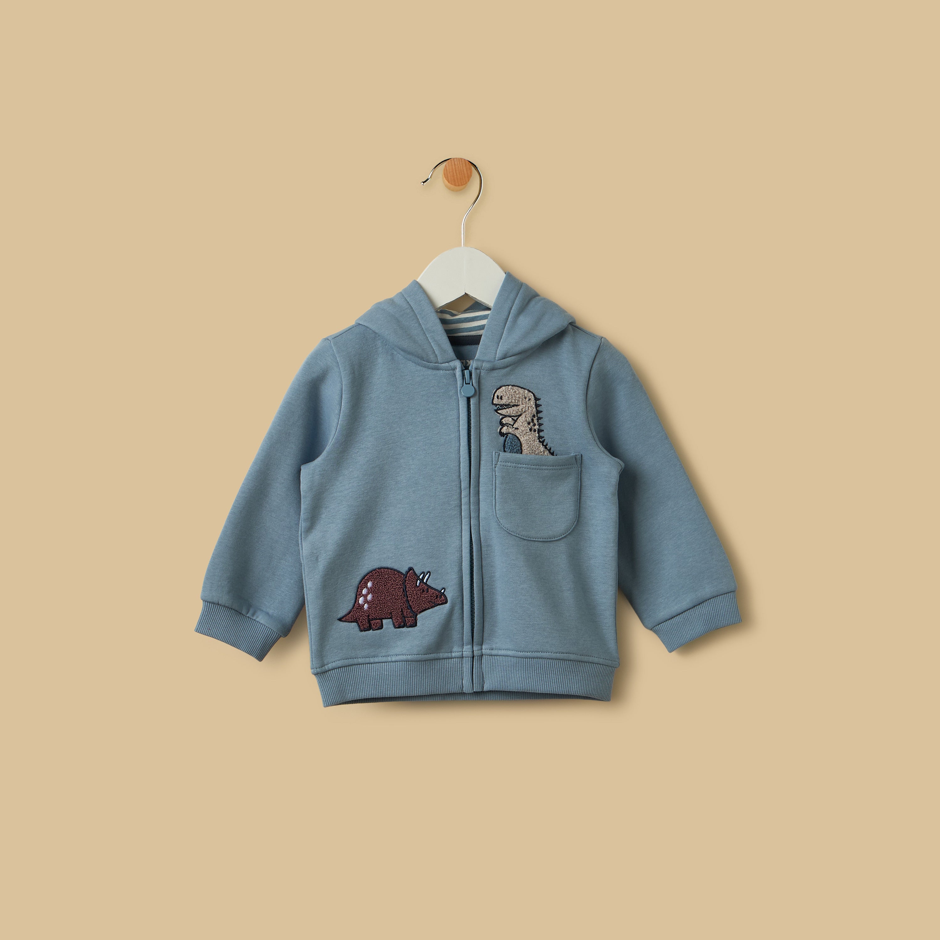 Dinosaur Embroidered Hoodie - Blue / 12-18 mths