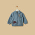 Dinosaur Embroidered Hoodie - Blue / 12-18 mths