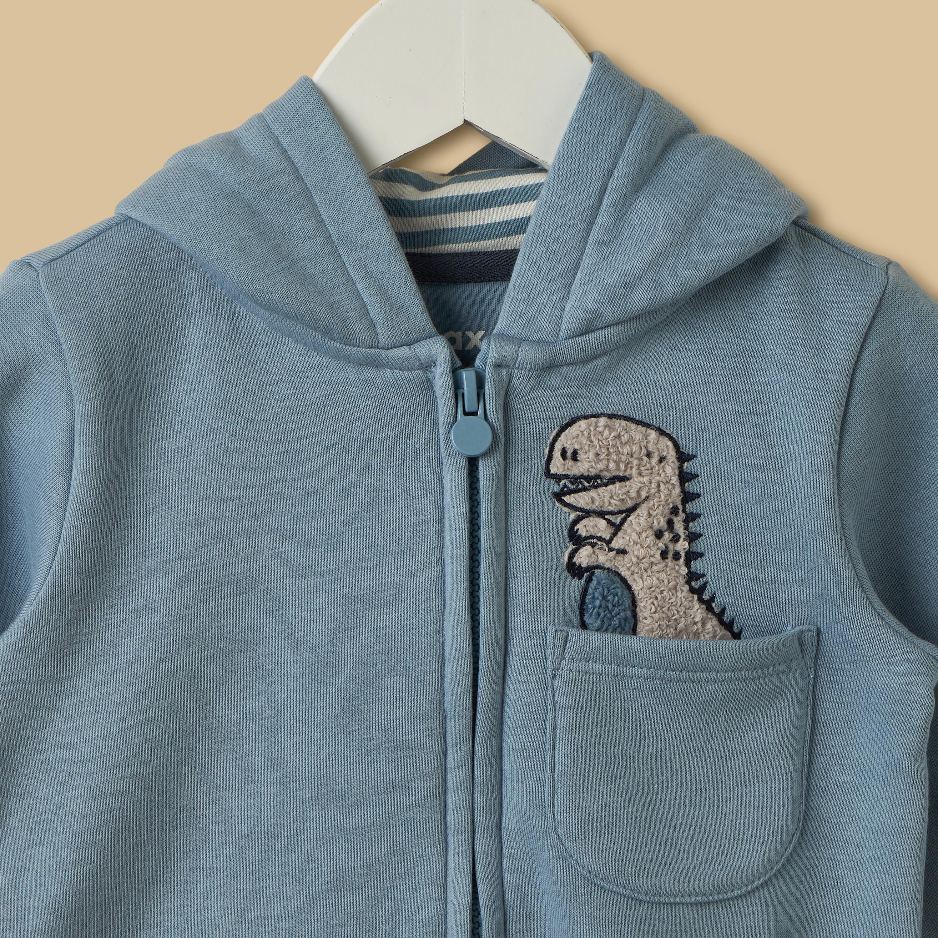 Dinosaur Embroidered Hoodie