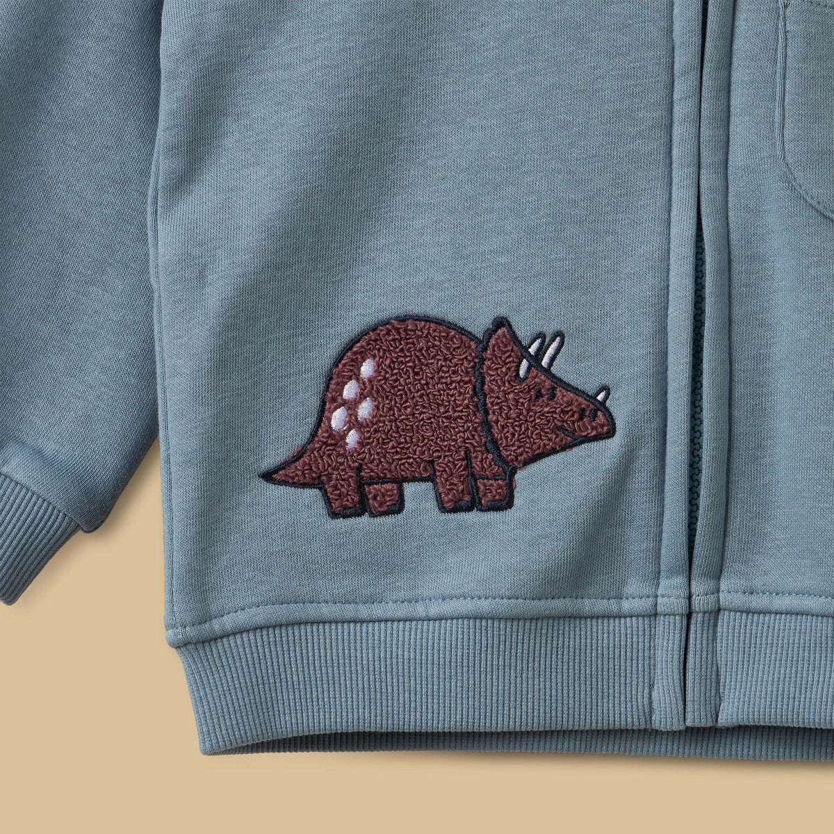 Dinosaur Embroidered Hoodie
