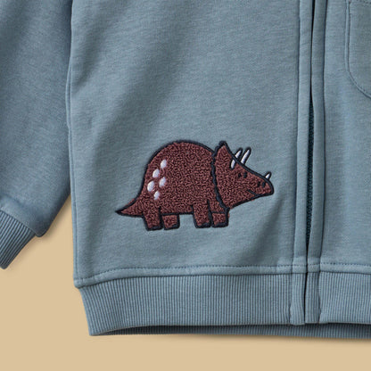 Dinosaur Embroidered Hoodie